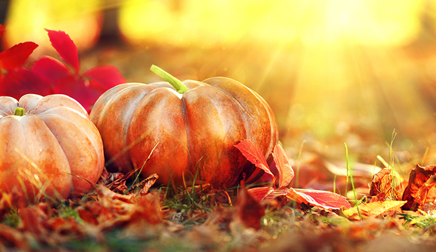 Fall Festival